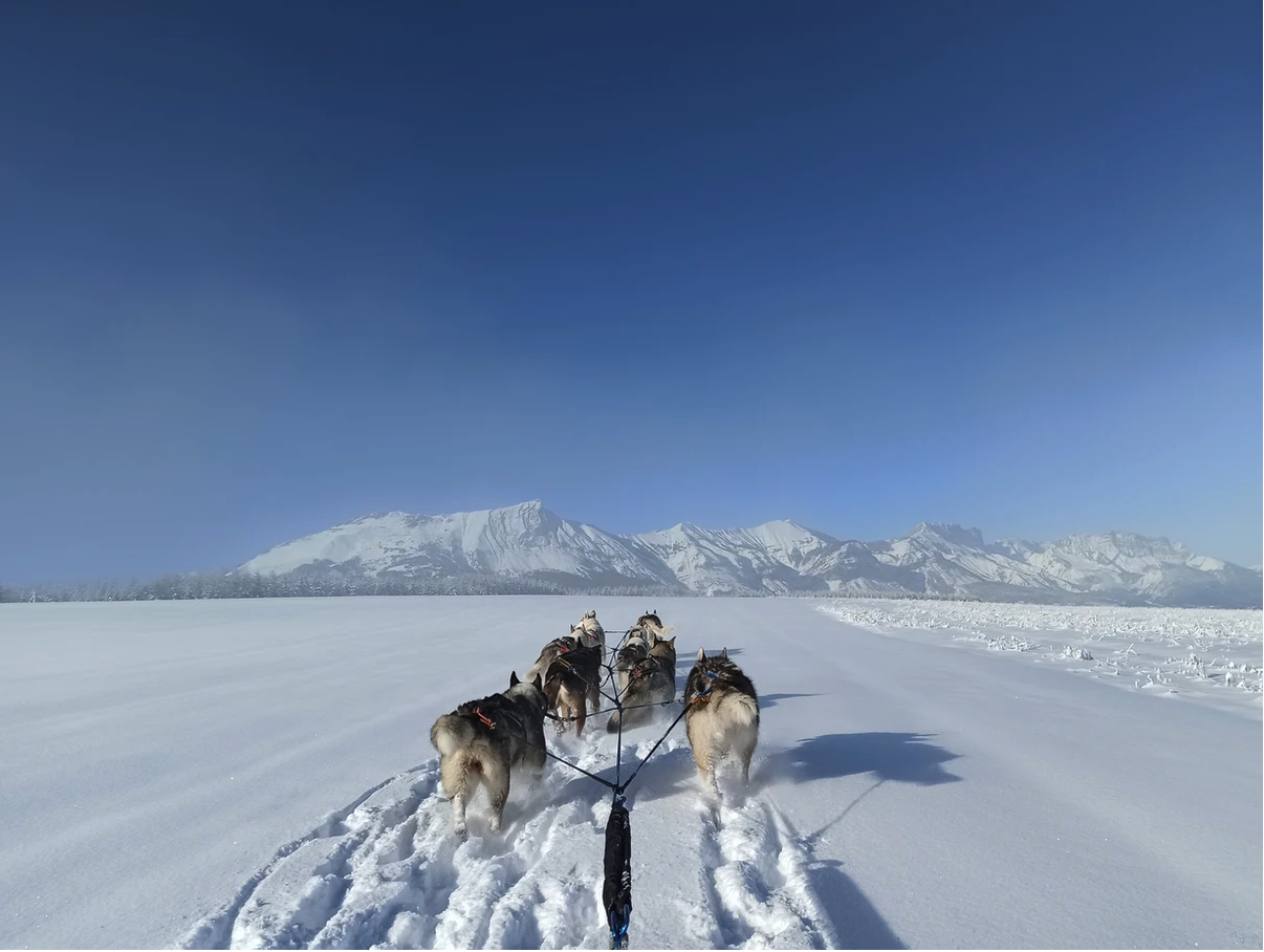 Les 7 activités différentes du ski à faire en montagne - Travel dog