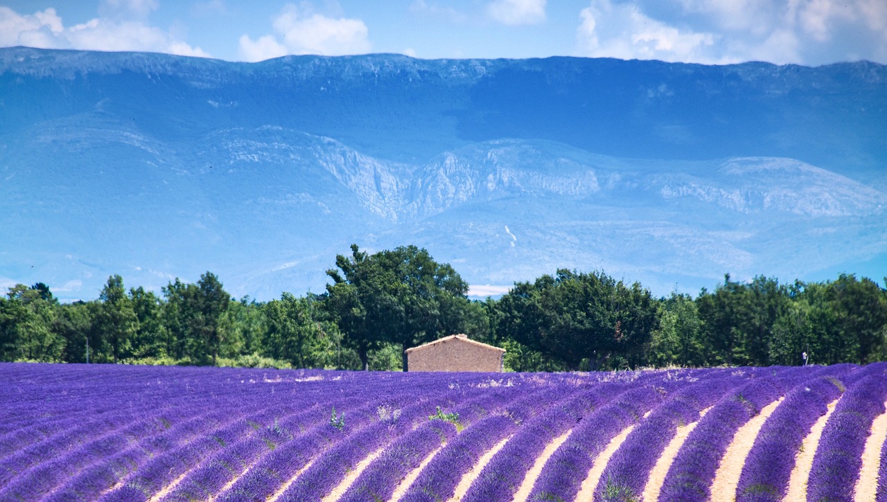 Les 5 plus beaux villages des Alpes-de-Haute-Provence - Valensole