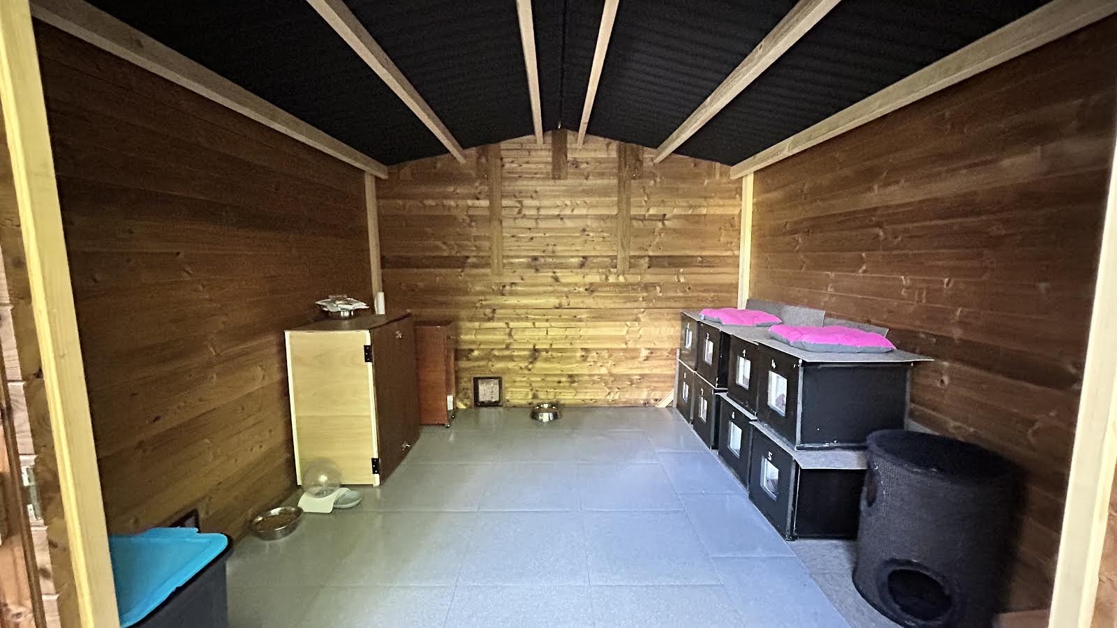 Hautes-Alpes : pour lutter contre l’errance féline, le programme ...