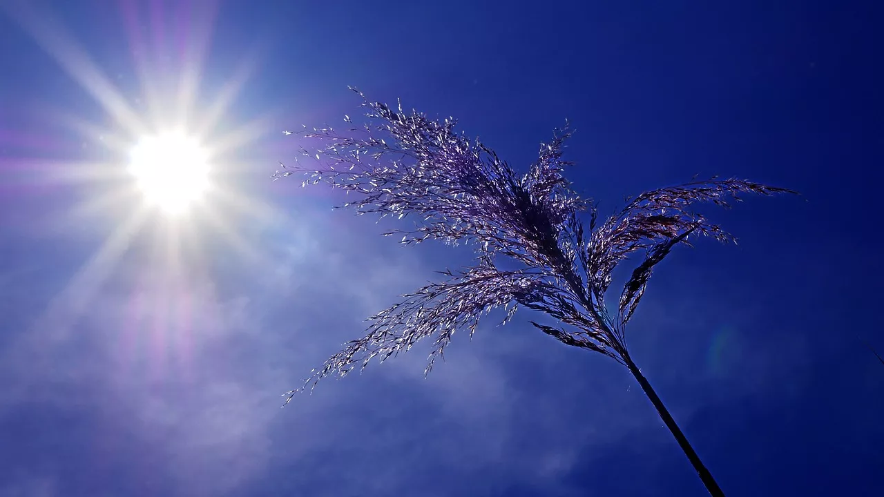 Alpes du sud : Vigilance « orange » canicule