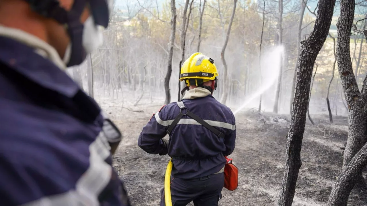 Feu de forêt à Entrepierres : 5 hectares brûlés, des dizaines menacés