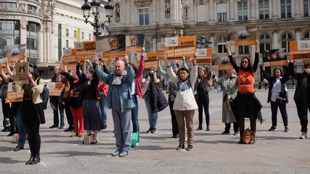Hautes-Alpes : journée mondiale des animaux de laboratoires Hautes-Alpes : journée mondiale des animaux de laboratoires
