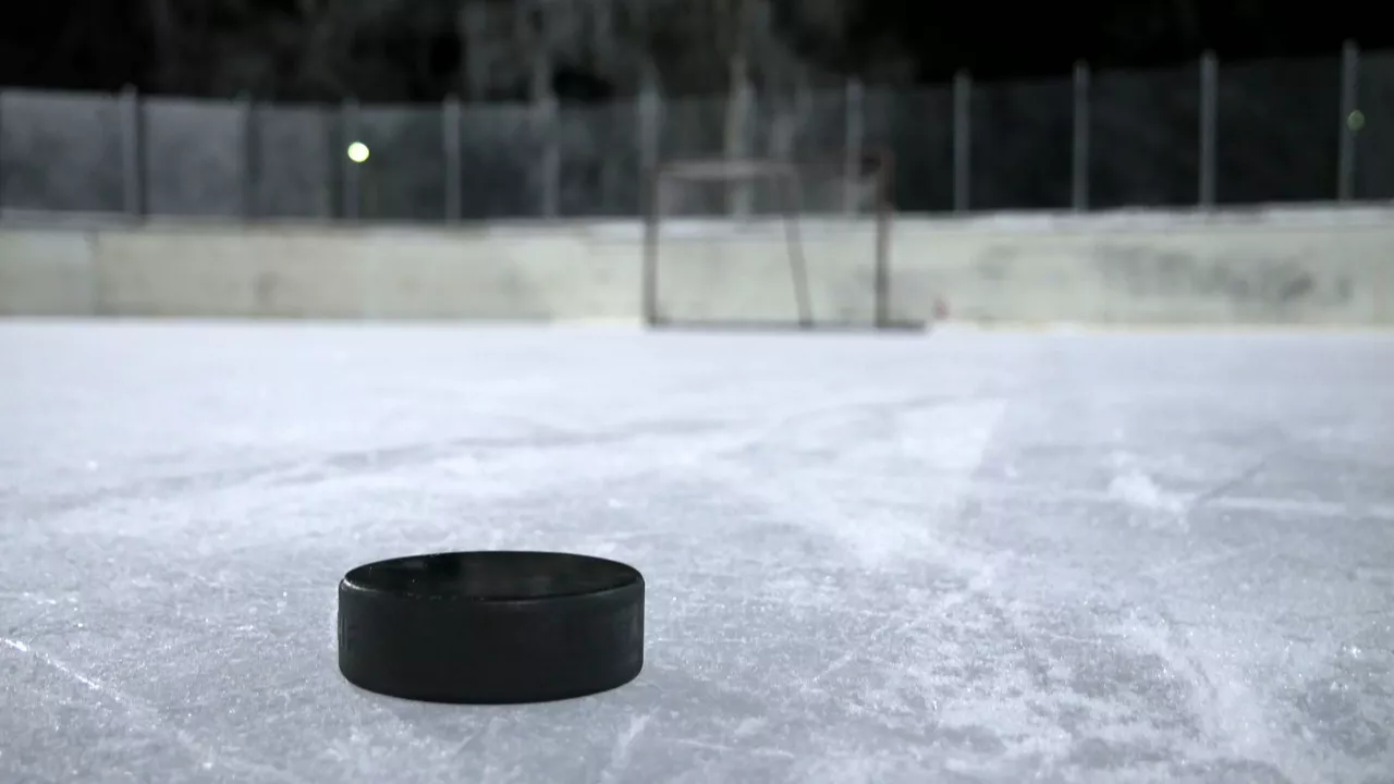 Hautes-Alpes : la ligue Magnus reprend ses droits dans un mois Hautes-Alpes : la ligue Magnus reprend ses droits dans un mois