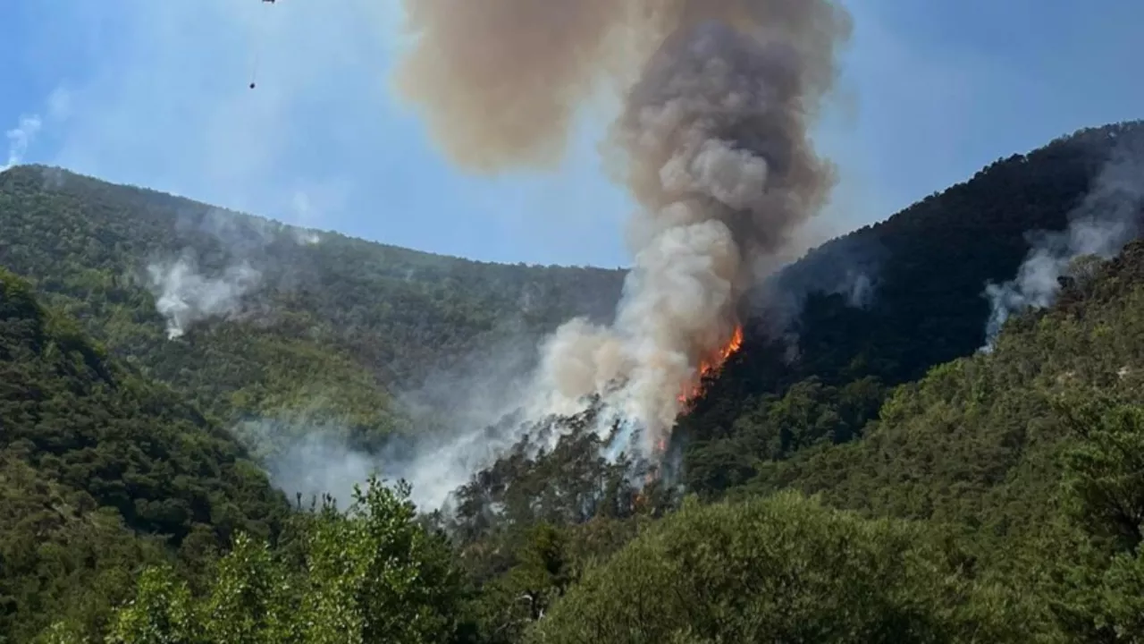 Hautes-Alpes : point sur les feux de forêt du département Hautes-Alpes : point sur les feux de forêt du département