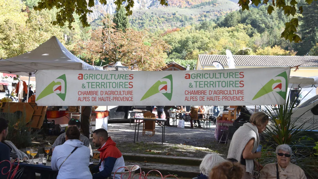 70ème Foire aux Agnelles de Thoard : un succès entre tradition et modernité