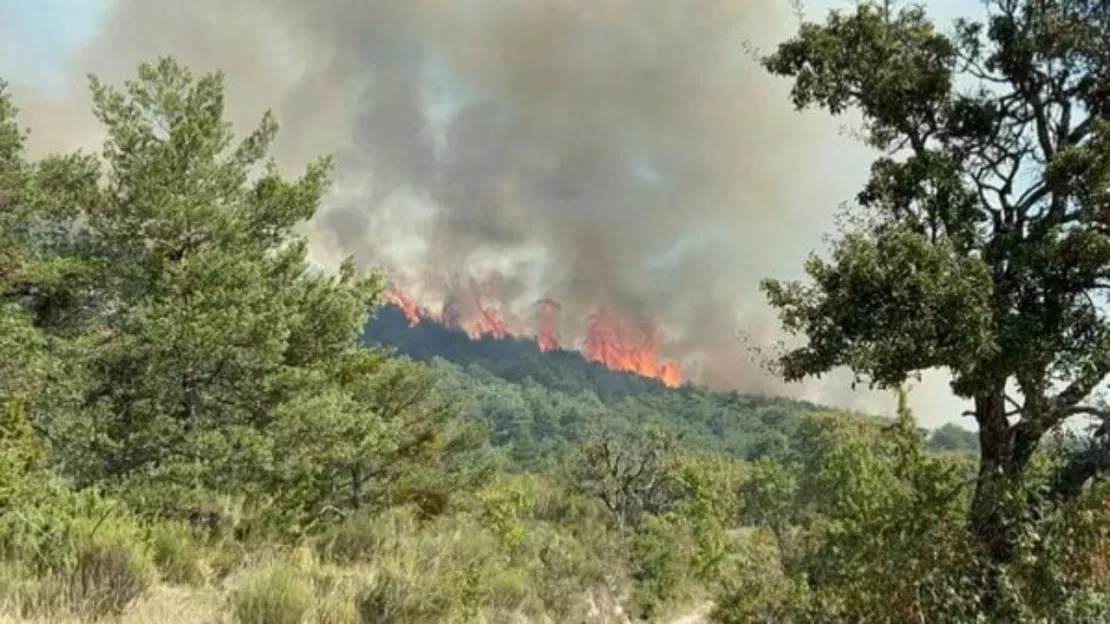 Alpes de Haute-Provence : le feu de forêt à La Rochette désormais fixé
