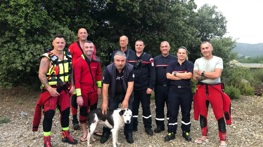 Alpes de Haute-Provence : les pompiers sauvent un chien de la noyade