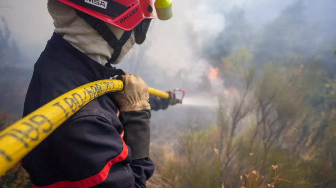 Alpes de Haute-Provence : un feu de forêt a ravagé 1,2 hectares ce vendredi soir au col du Fam.