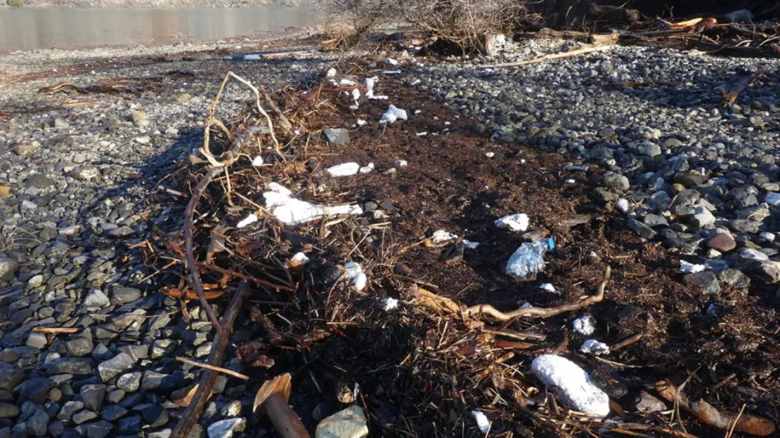 Alpes du Sud : 15.500 litres de plastique récupérés sur les rives de Serre-Ponçon par des bénévoles