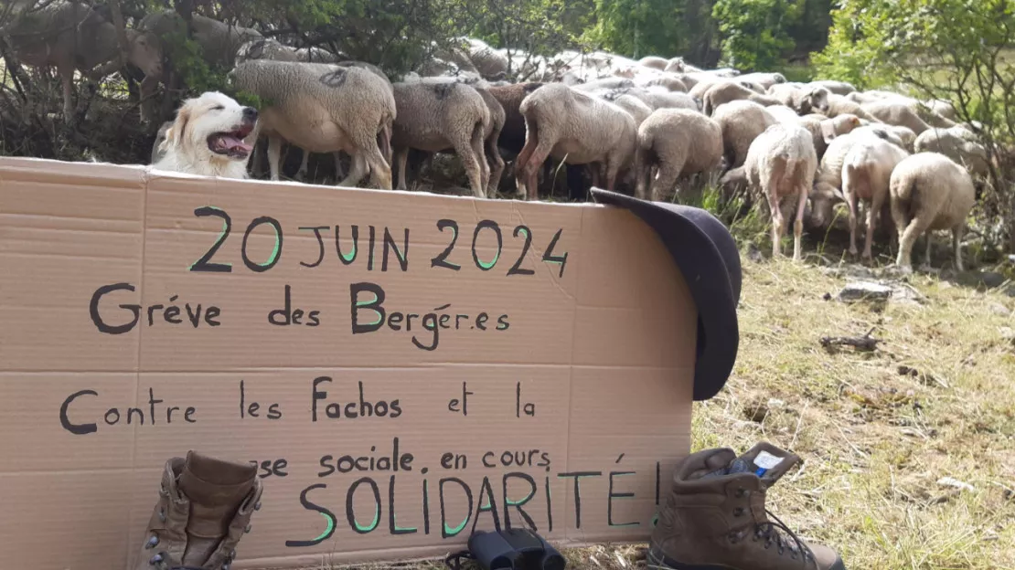 Alpes du Sud : des bergers et bergères mobilisés contre l’extrême droite