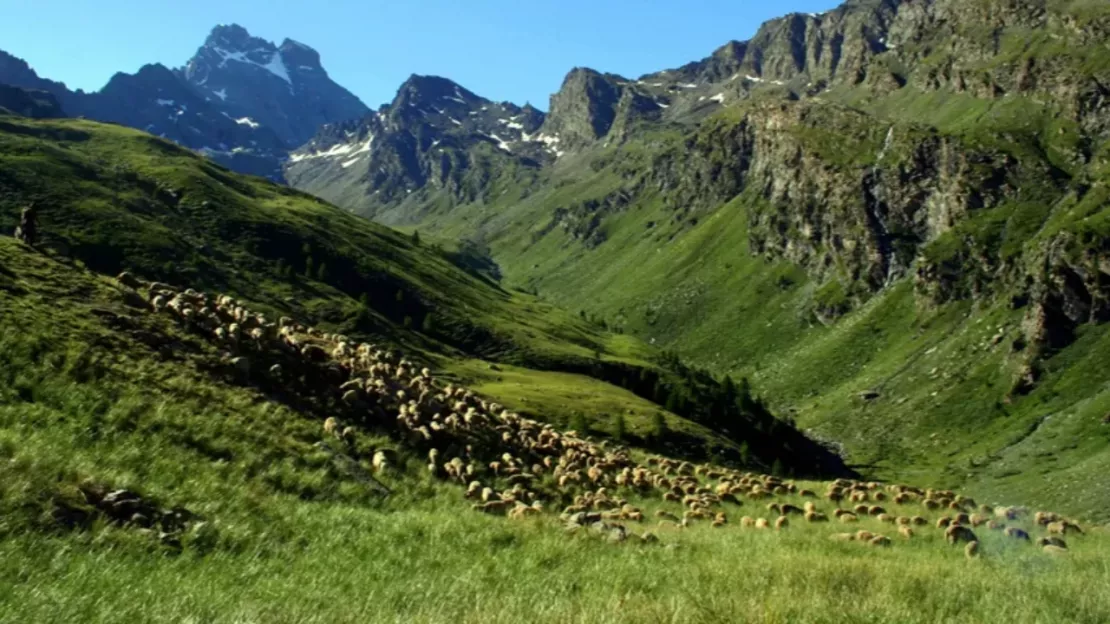 Alpes du Sud : J. Giraud et L. Walter appellent à un soutien financier pour les Réserves de Biosphère