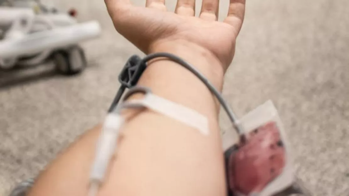 Alpes du Sud : les collectes de sang continuent dans nos départements