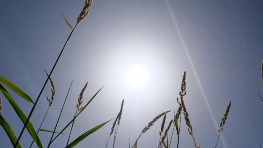 Alpes du Sud : les territoire bas-alpin en vigilance orange canicule ce samedi