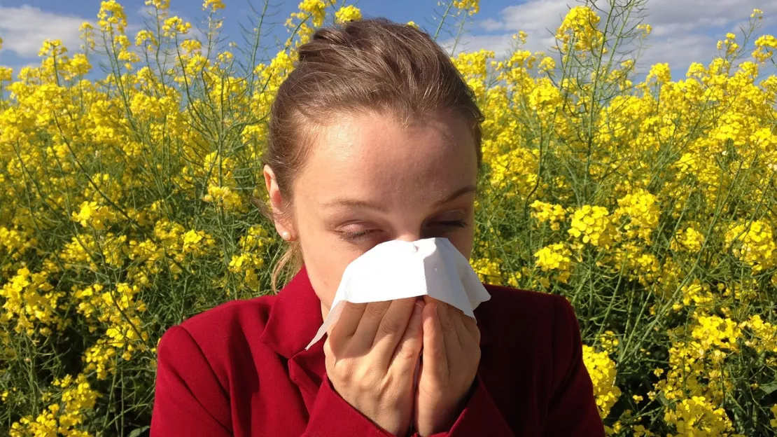 Attention aux pollens : risque élevé dans les Alpes du Sud