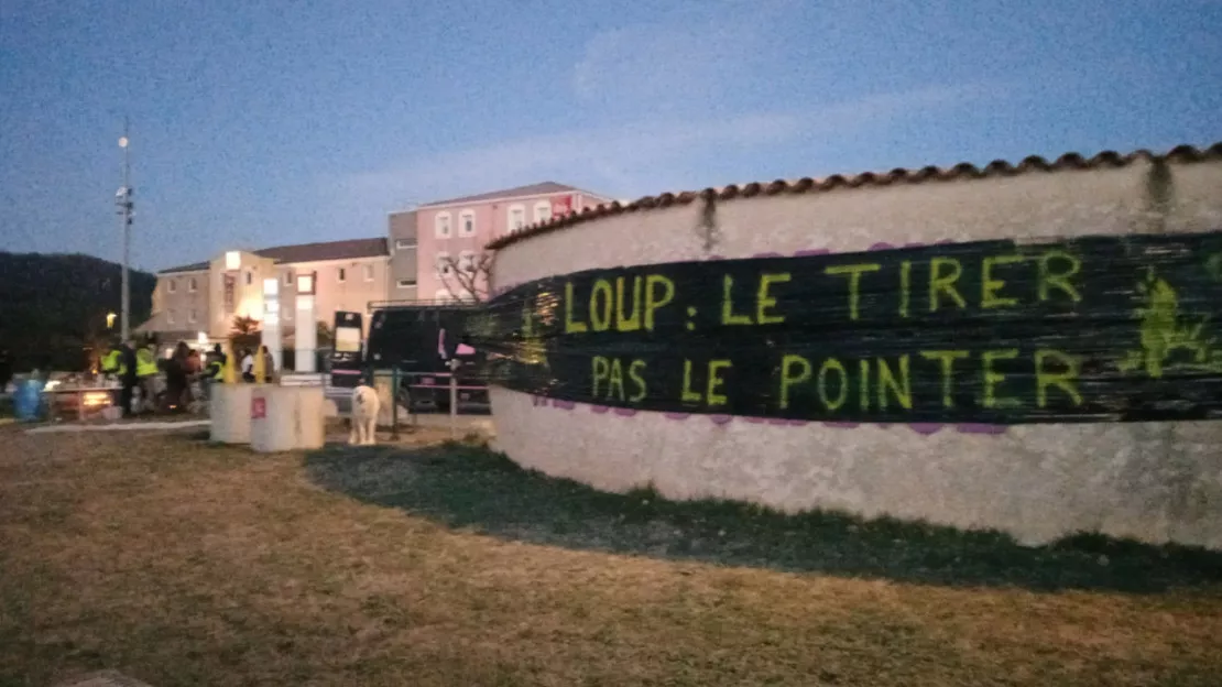 B. Emeriau, éleveur mobilisé à Sisteron : "On veut tirer le loup sans se faire emmerder"