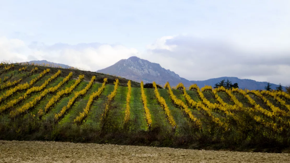 Dans les Baronnies, on accompagne les agriculteurs vers la transition agroécologique