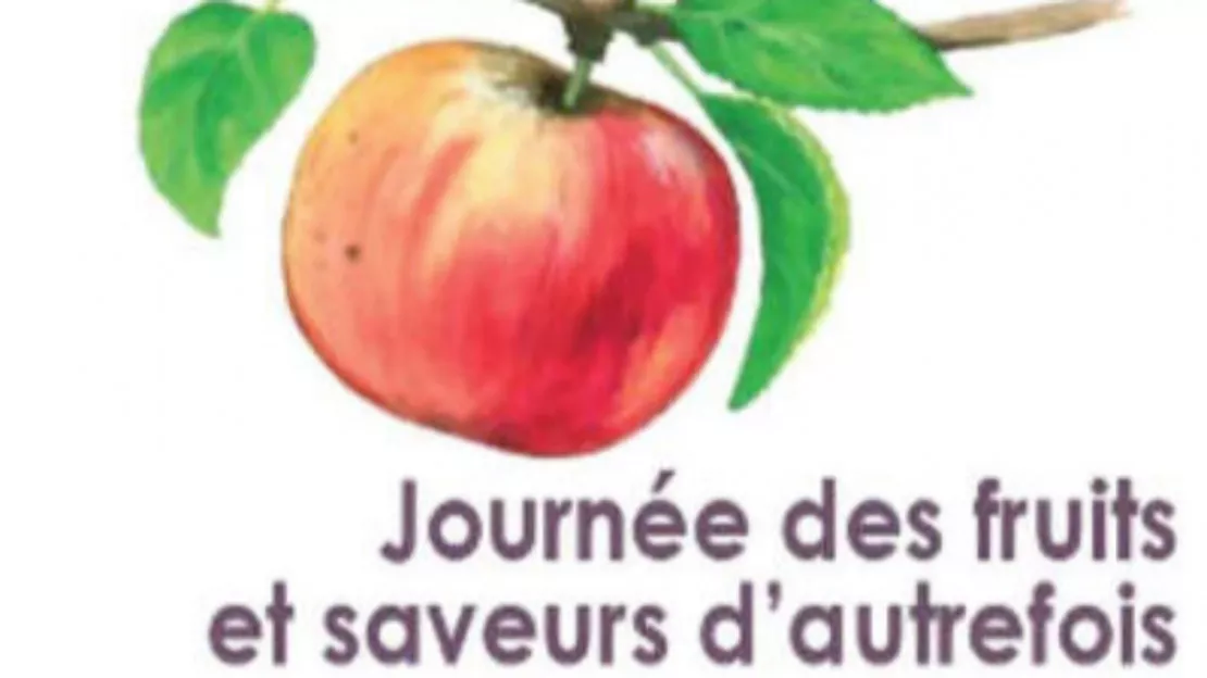 Haute-Provence : à la découverte des fruits anciens à Manosque