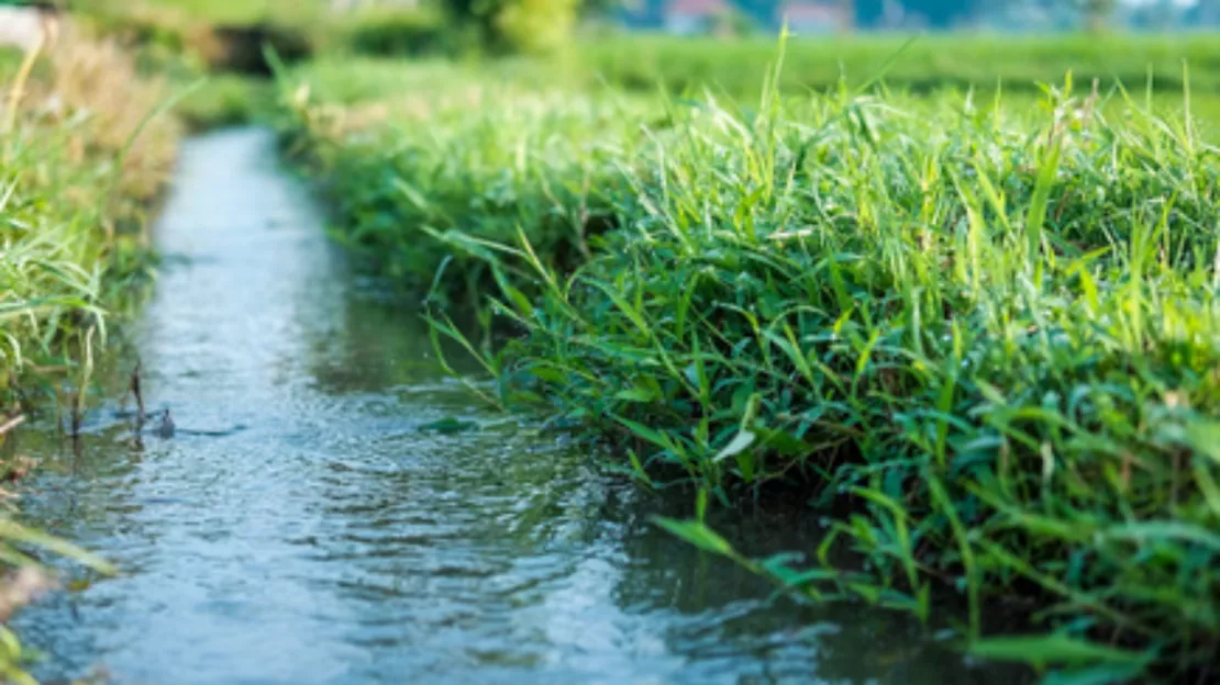 Haute-Provence : de nouvelles mesures sur l'eau en raison de la sécheresse