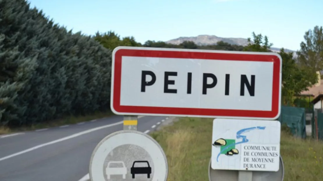 Haute-Provence : deux chevaux morts dans un accident de la route à Peipin