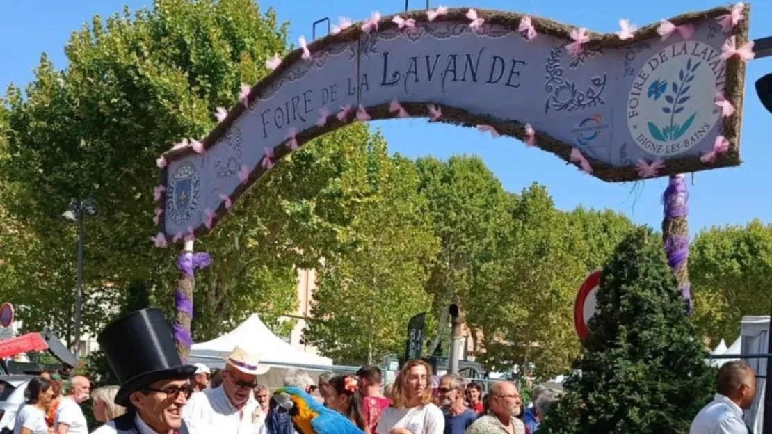 Haute-Provence : la 101ème édition de la Foire de la Lavande à Digne n’aura pas lieu