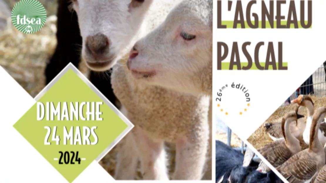 Haute-Provence : la 26ème édition de la Fête de l’Agneau Pascal aura lieu ce dimanche 24 mars !