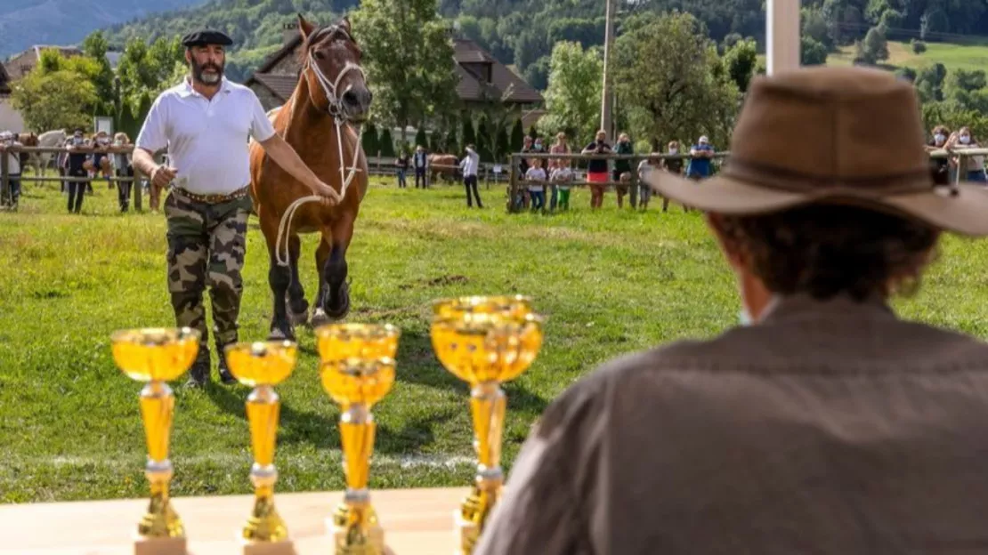 Haute-Provence : le mulet célébré ce week-end à Seyne les Alpes