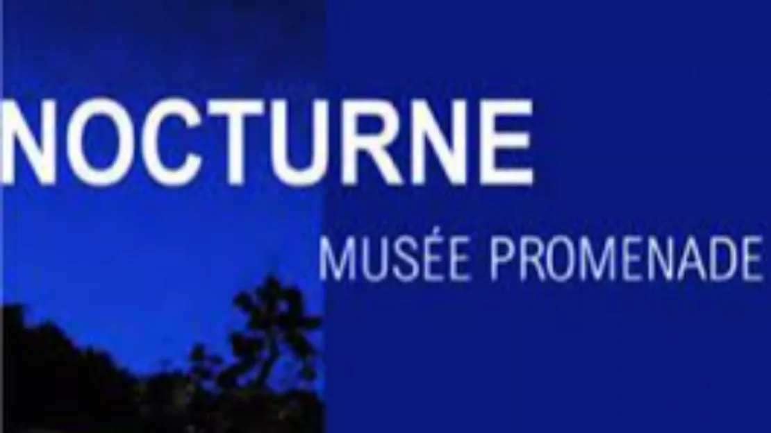 Haute-Provence : le Musée Promenade de Digne ouvert la nuit
