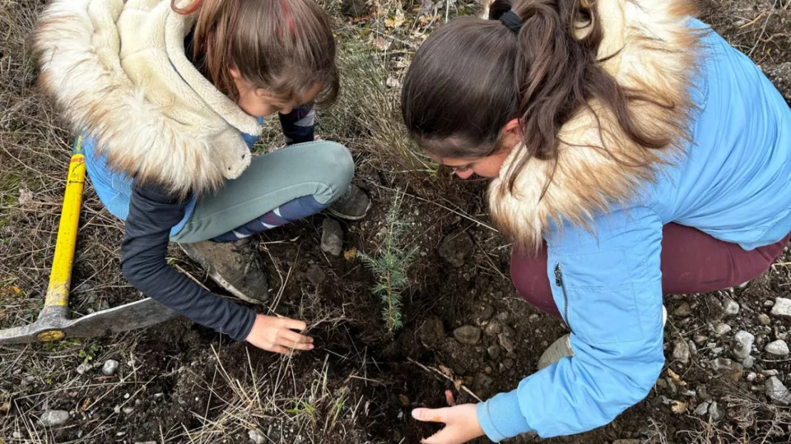 Haute-Provence : les collégiens de la Motte du Caire plantent la forêt de demain