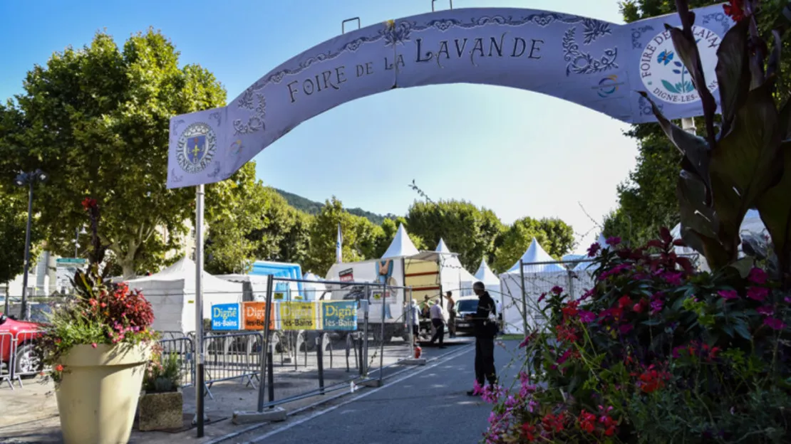 Haute-Provence : les producteurs à l'honneur pour la 101ème édition de la foire expo de la lavande à Digne-les-Bains