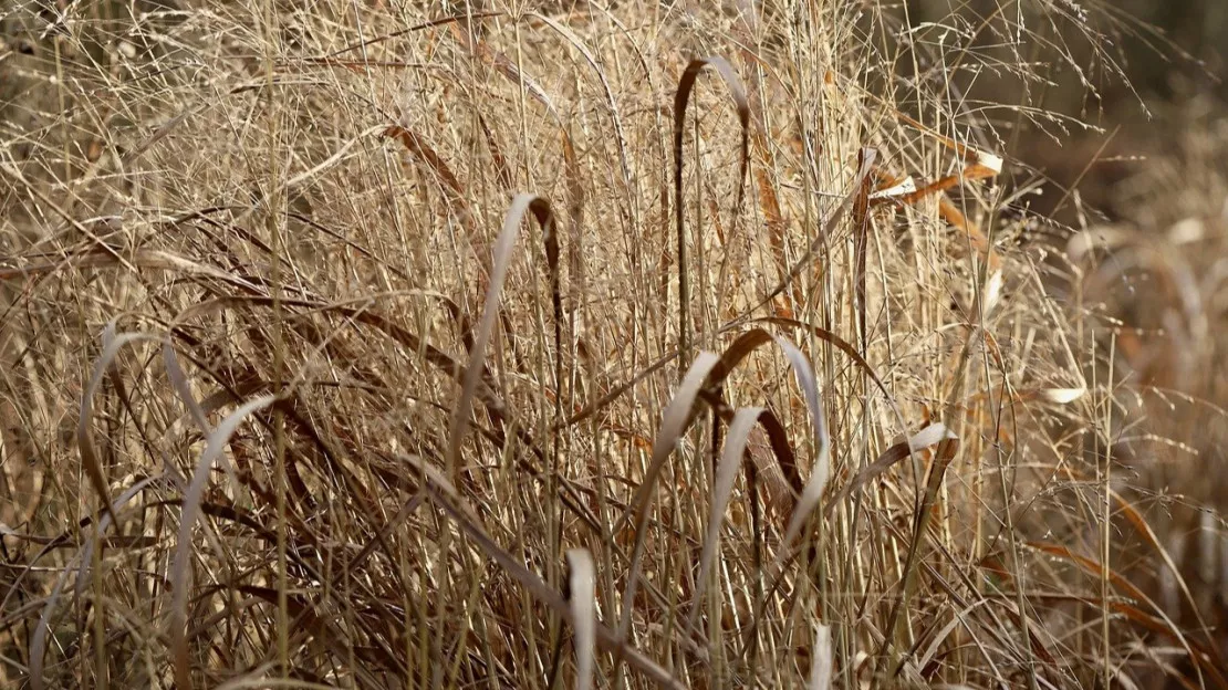 Haute-Provence : les restrictions sur l'usage de l'eau se renforcent