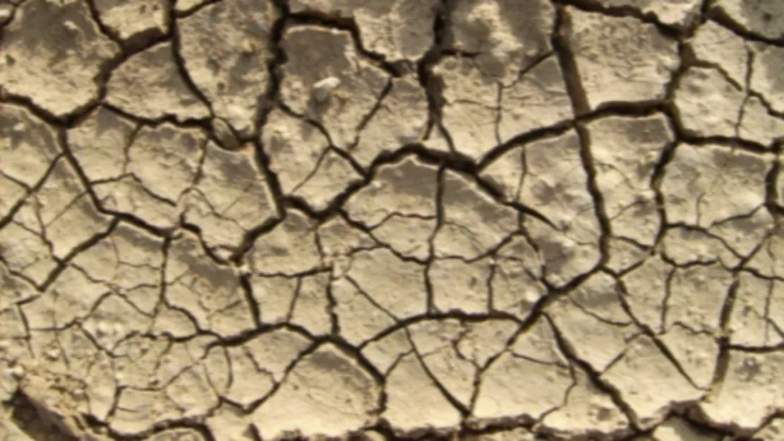Haute-Provence : Sainte-Tulle reconnue en état de catastrophe naturelle sécheresse pour l'été 2022