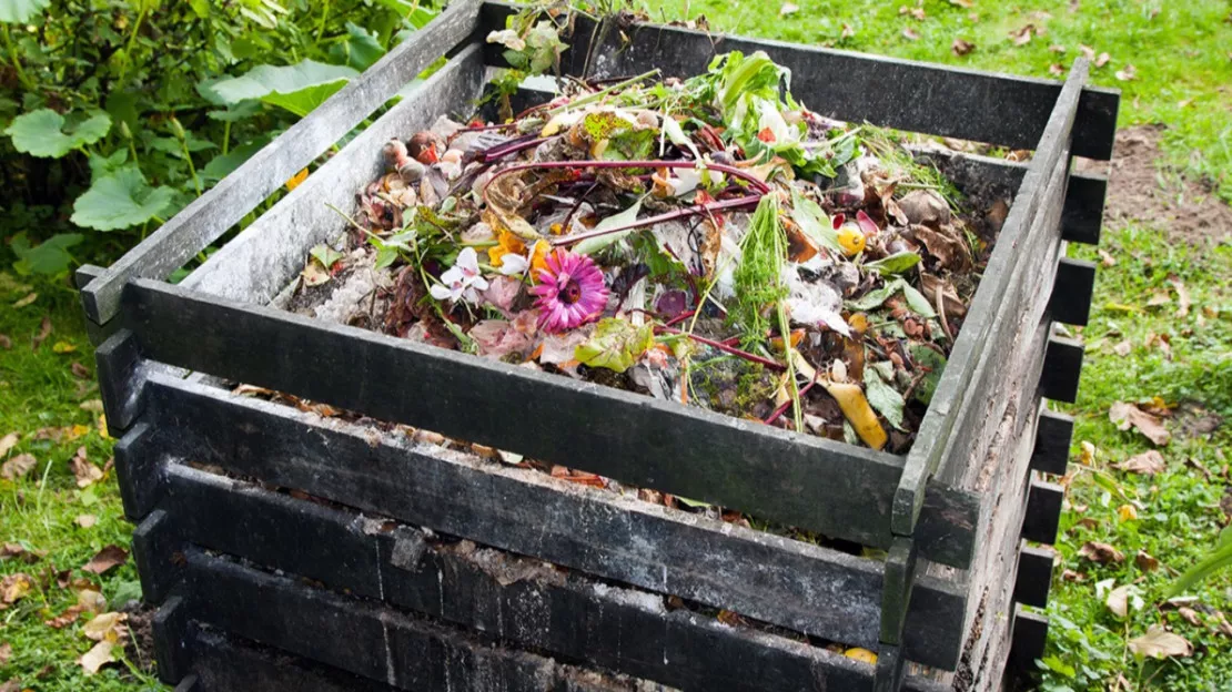 Haute-Provence : tout savoir sur le biodéchets et compostage au marché de Digne les Bains