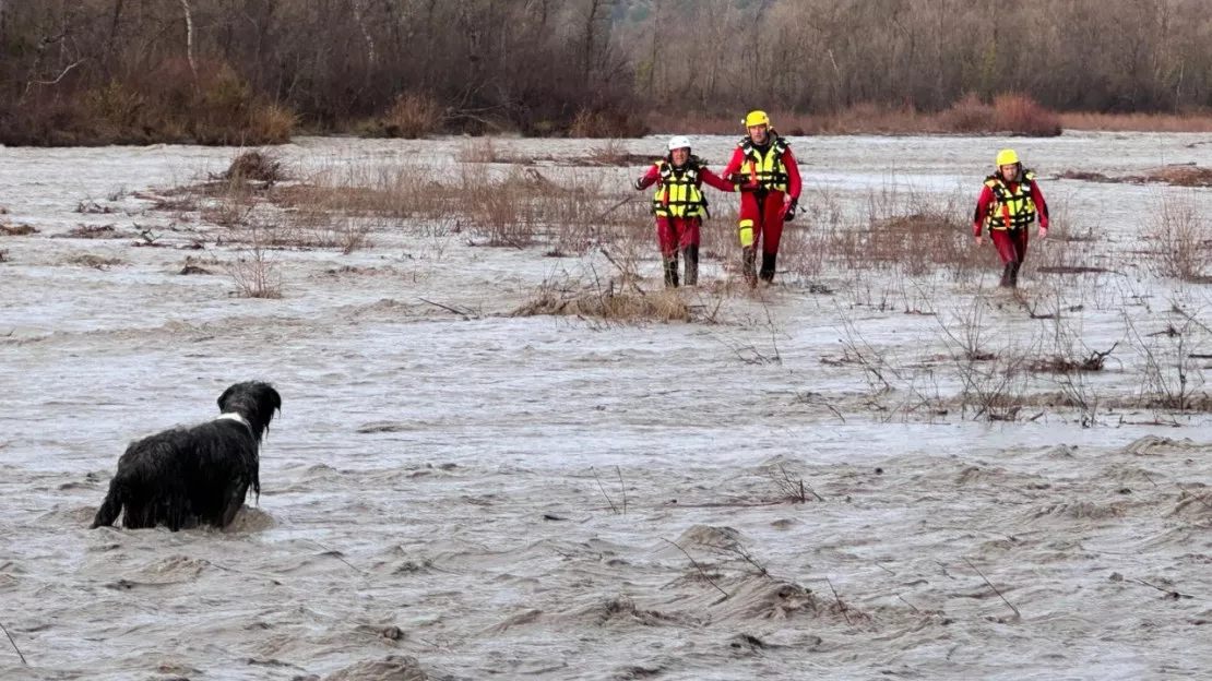 Haute-Provence : un chien sauvé de la noyade par les pompiers