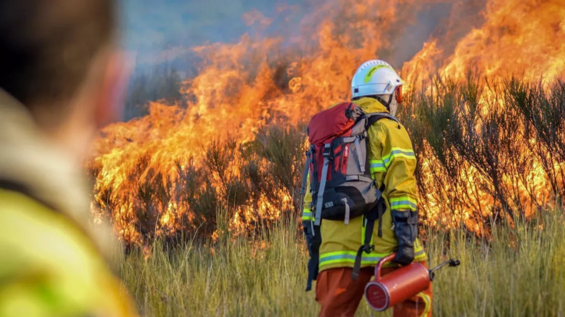 Haute-Provence : un feu de forêt en cours sur Omergues