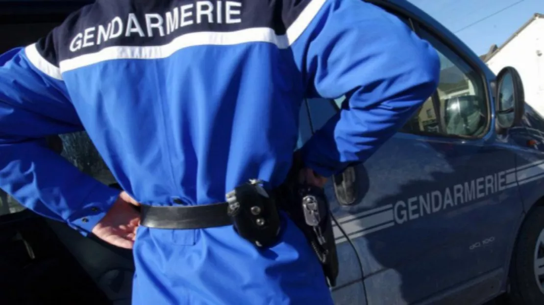 Haute-Provence : un homme et son chien disparus à Gréoux les Bains