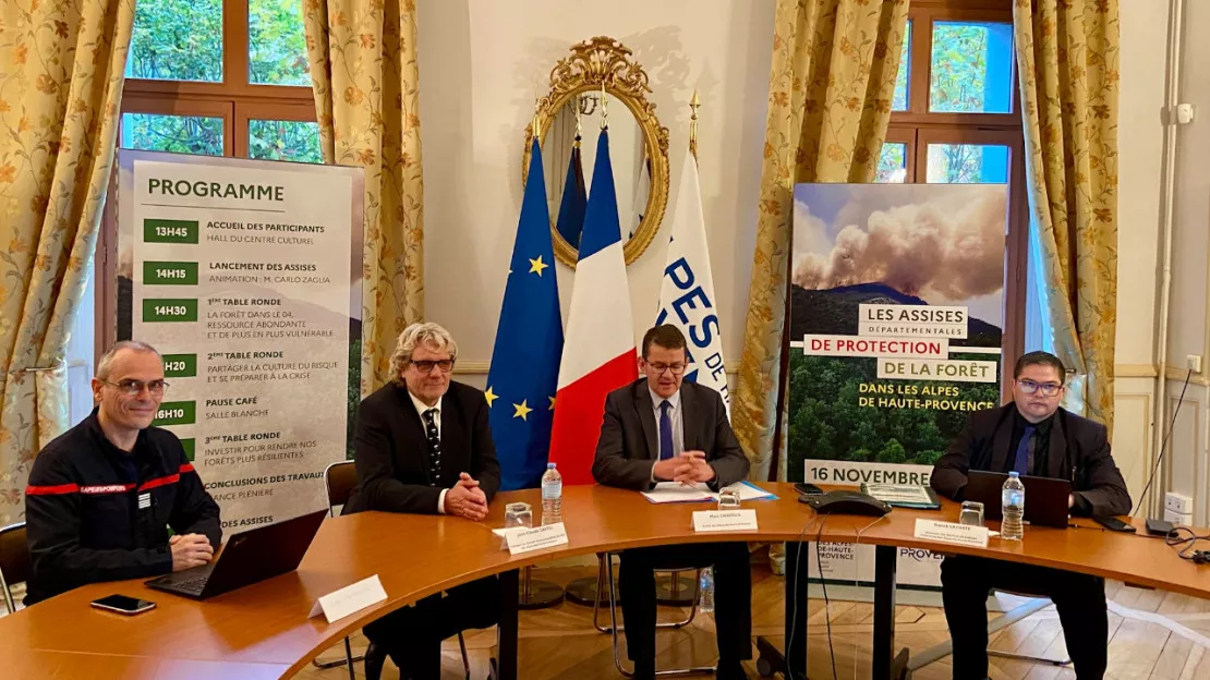 Haute-Provence : une grande consultation autour de la forêt, une ressource à protéger