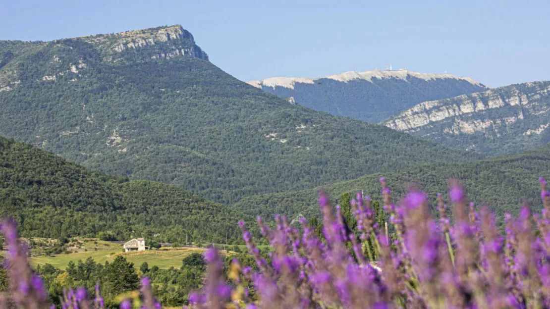 Haute-Provence : une ruée vers l’or des multinationales vers la Montagne de Lure ?