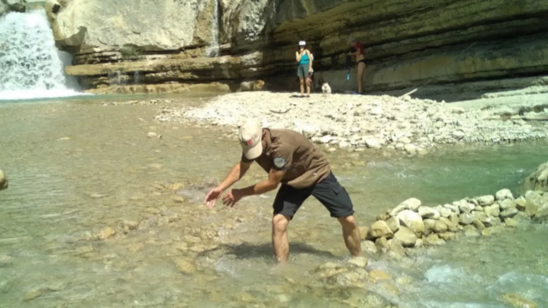 Hautes-Alpes : 5.000 visiteurs sensibilisés, 473 barrages de galets détruits... les écoguides des Baronnies n'ont pas chômé