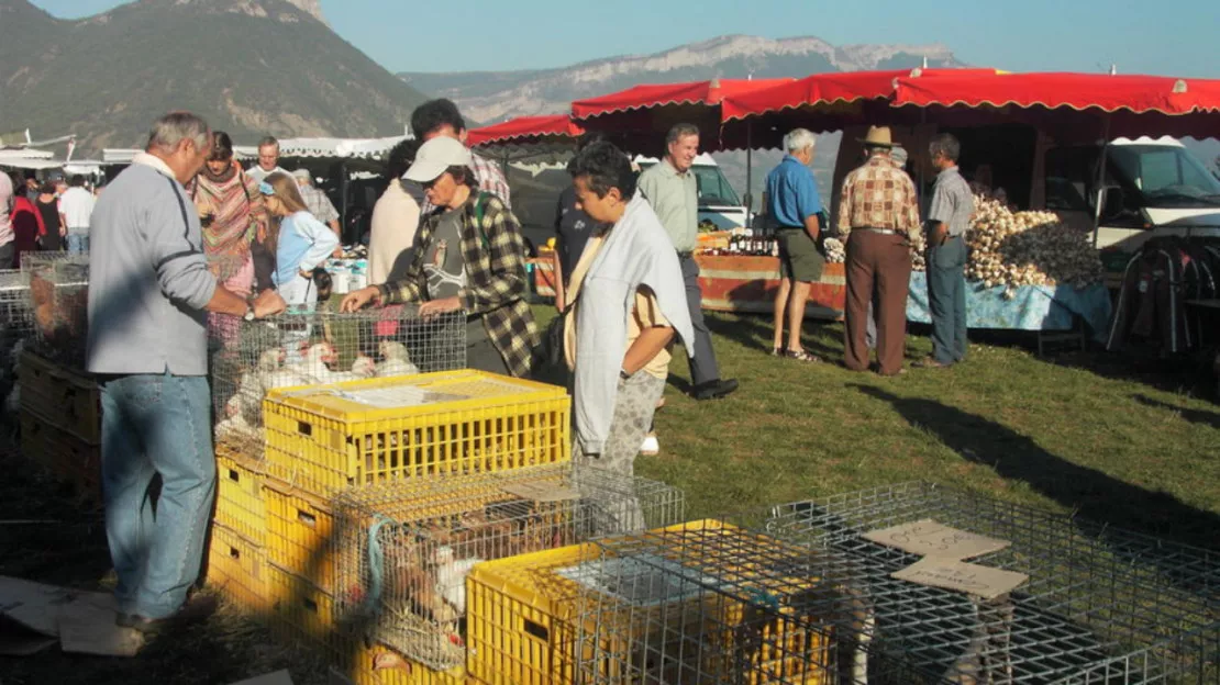 Hautes-Alpes : 796ème Foire aux Dindes à Lagrand ce lundi