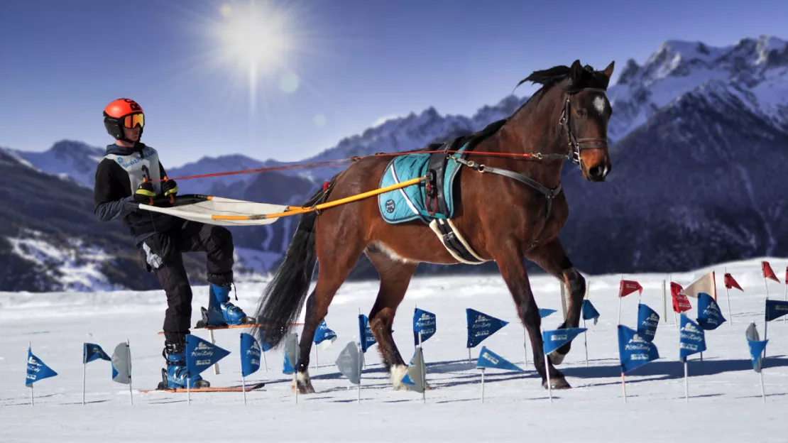 Hautes-Alpes : Ceillac accueille les championnats de France de ski-joëring
