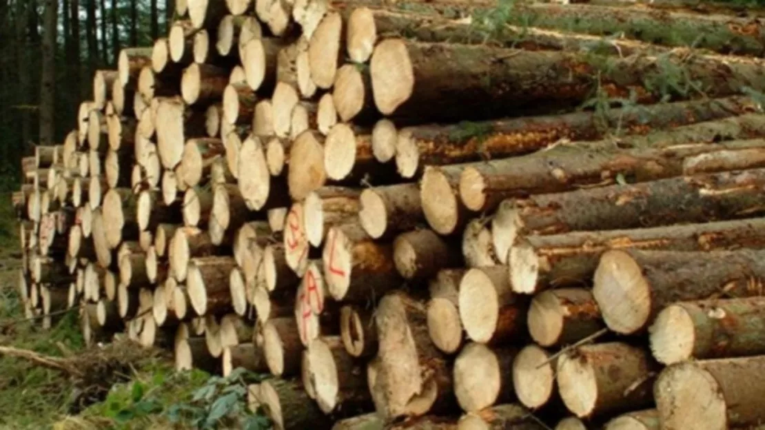 Hautes-Alpes : du bois de chauffage à un bon prix à Saint Chaffrey