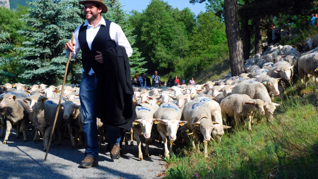 Hautes-Alpes : il y aura bien une 8ème édition du Festival de l’Alpage