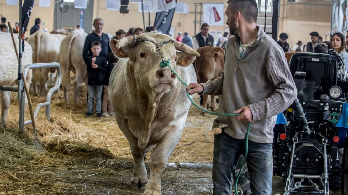 Hautes-Alpes : la 5ème édition du Salon de l’élevage couronnée de succès