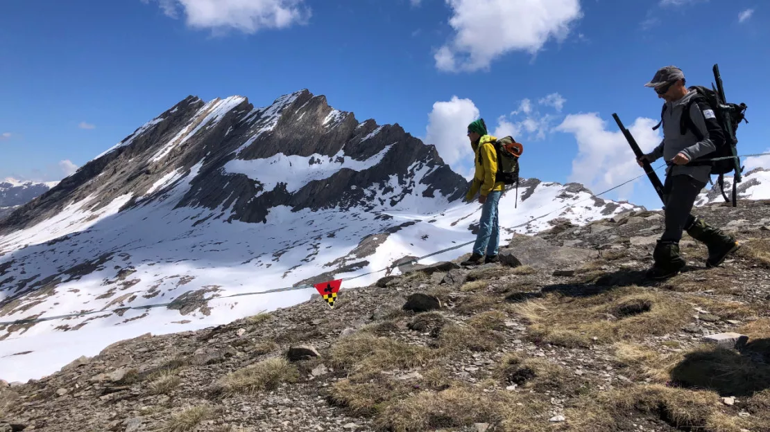 Hautes-Alpes : laissons le lagopède alpin se reproduire en toute quiétude