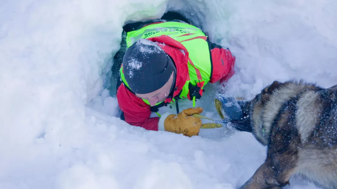 Hautes-Alpes : chiens et maitres prêts à sauver des vies à Puy Saint Vincent