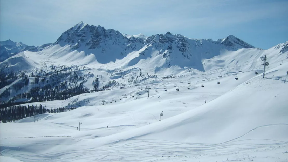 Hautes-Alpes : les socioprofessionnels de la Forêt Blanche veulent forcer le dialogue