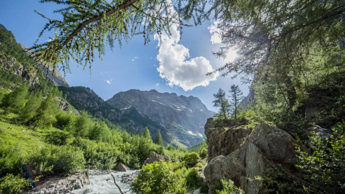 Hautes-Alpes : un parcours ludique autour de l'histoire de l'alpinisme à Ailefroide