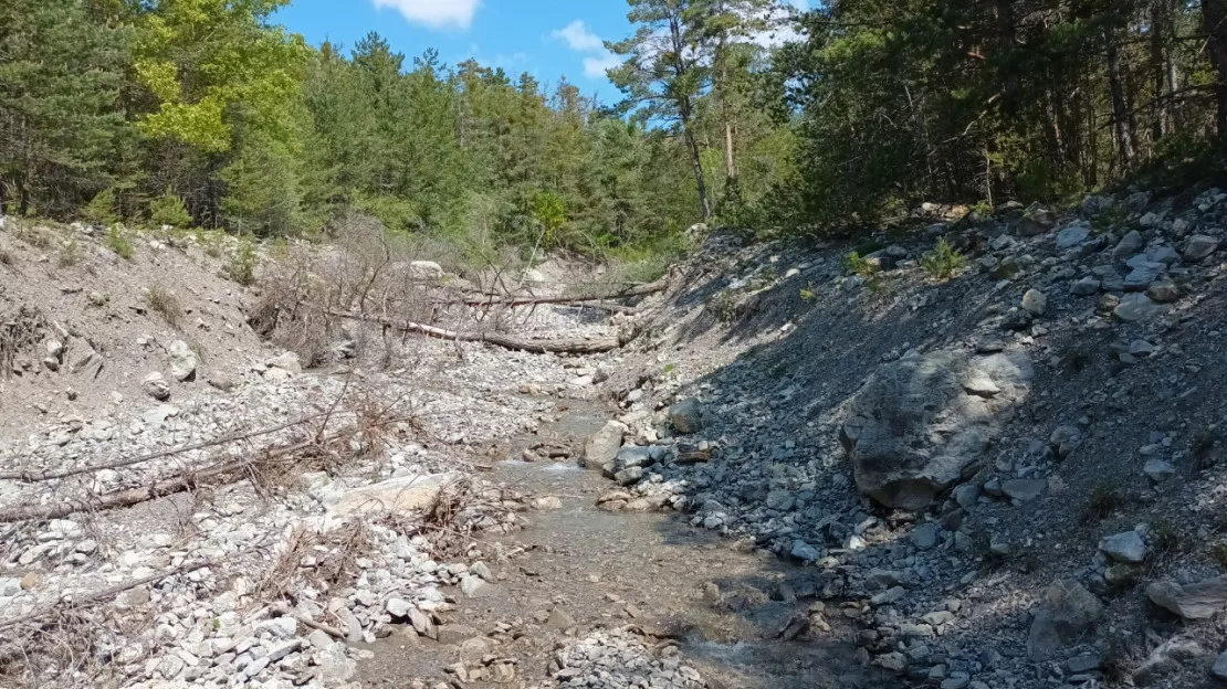 Hautes-Alpes : vaste campagne d'entretien de la végétation sur les cours d'eau de Serre-Ponçon Val d'Avance