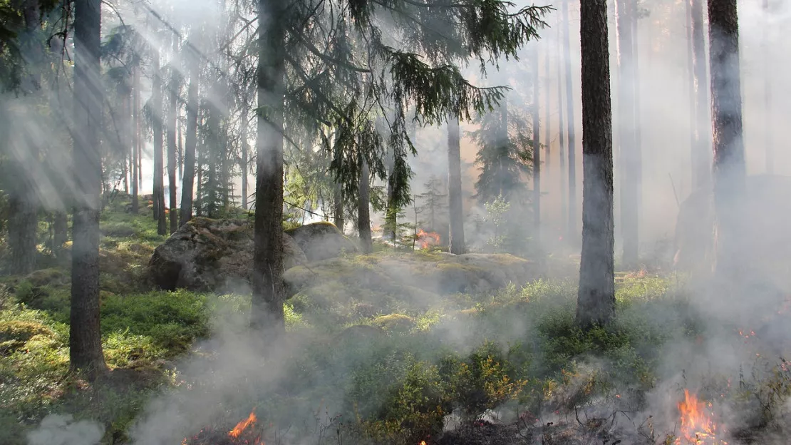 Hautes-Alpes : vigilance feux de forêt