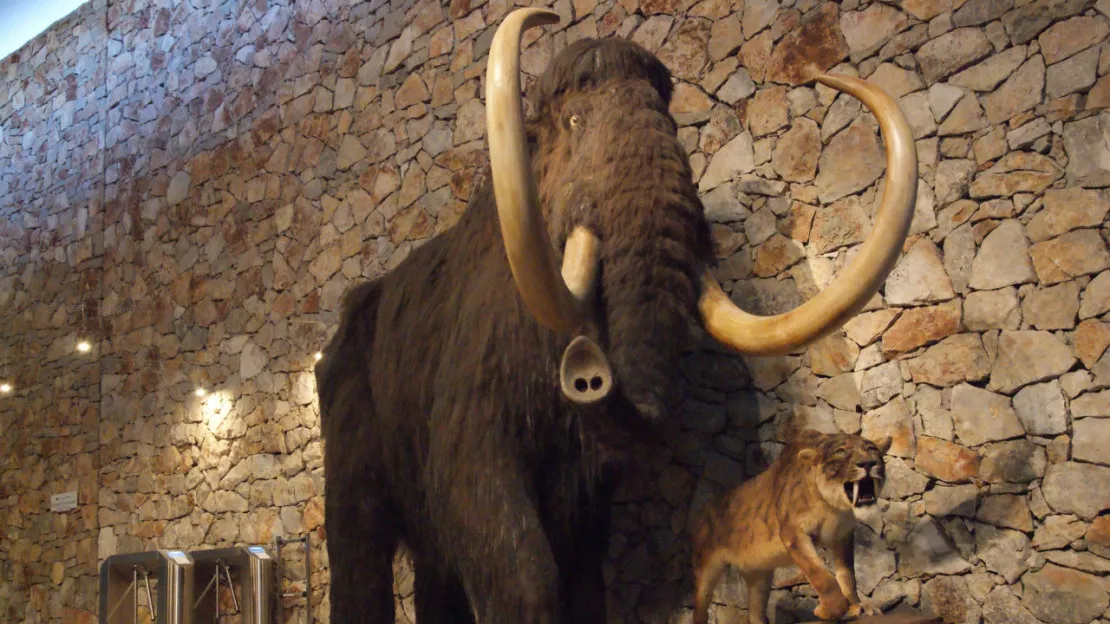 Le musée de la Préhistoire des Gorges du Verdon rouvre ses portes ce samedi